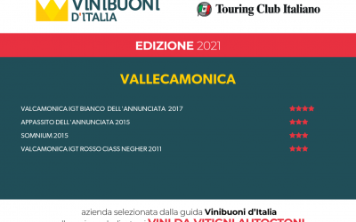 GOOD WINES OF ITALY 2021
