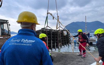 Decimo anniversario recupero di Nautilus CruStorico 14/06/25